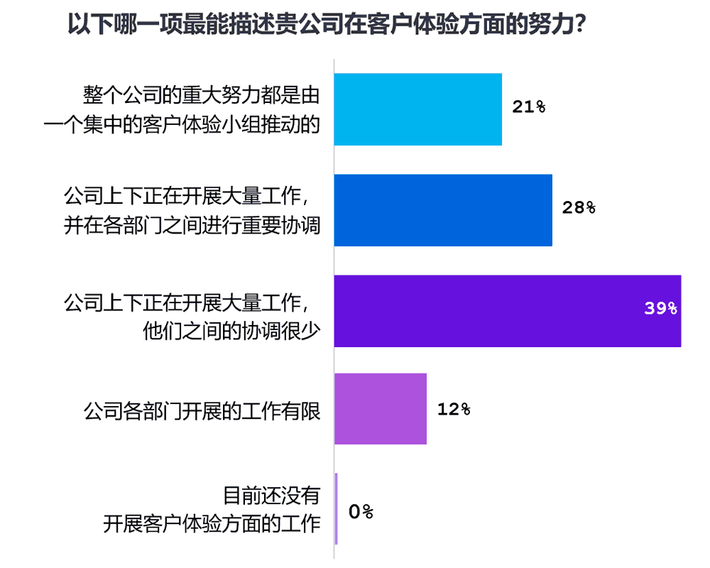 公司在客户体验方面的努力程度