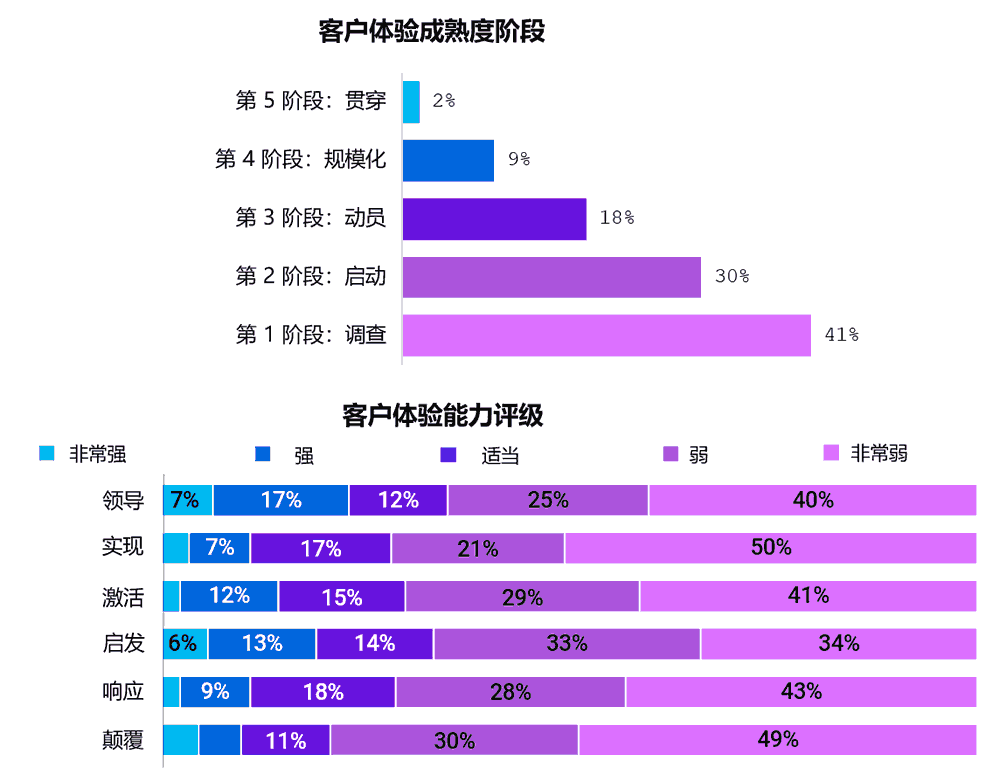 客户体验成熟度结果