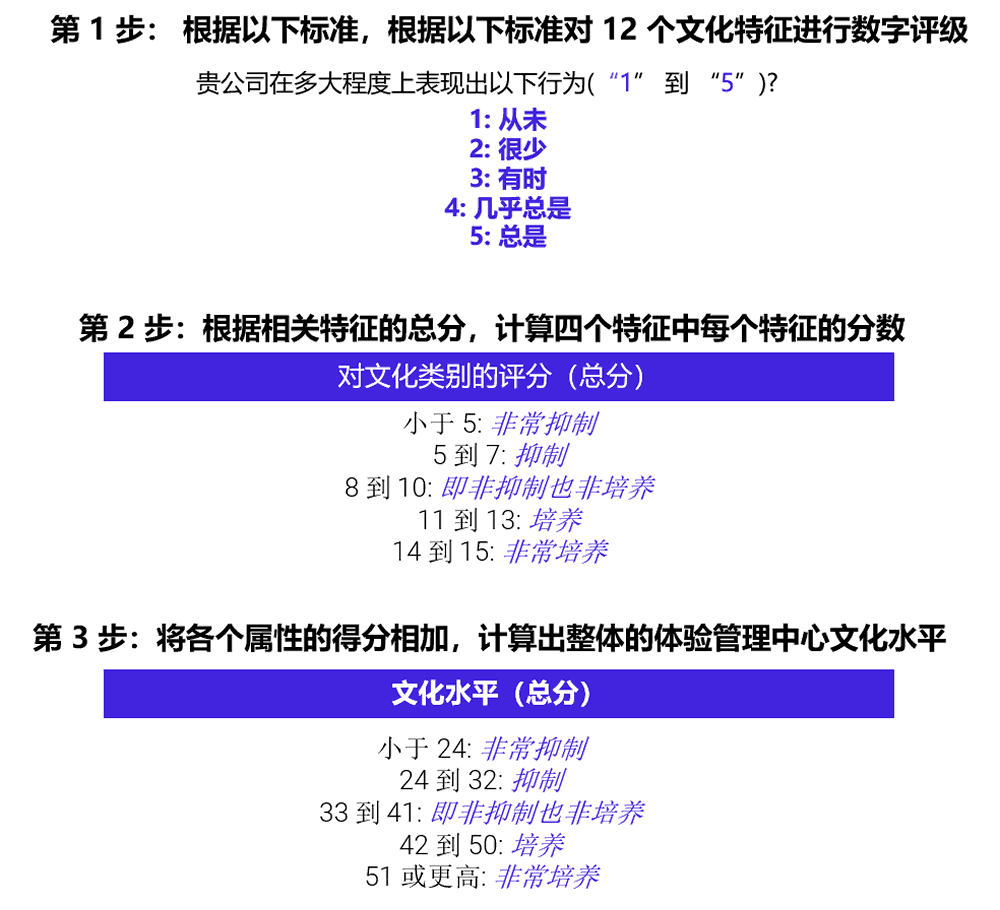 以体验管理为中心的文化评估步骤