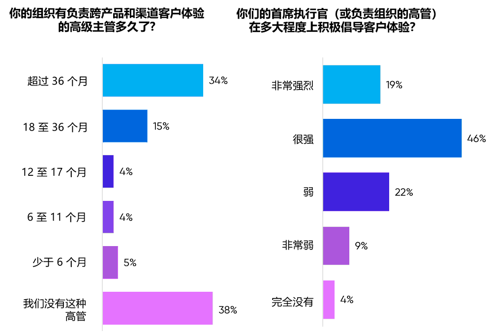 负责跨产品和渠道客户体验的高级主管