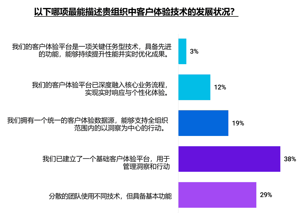 客户体验技术的发展状况
