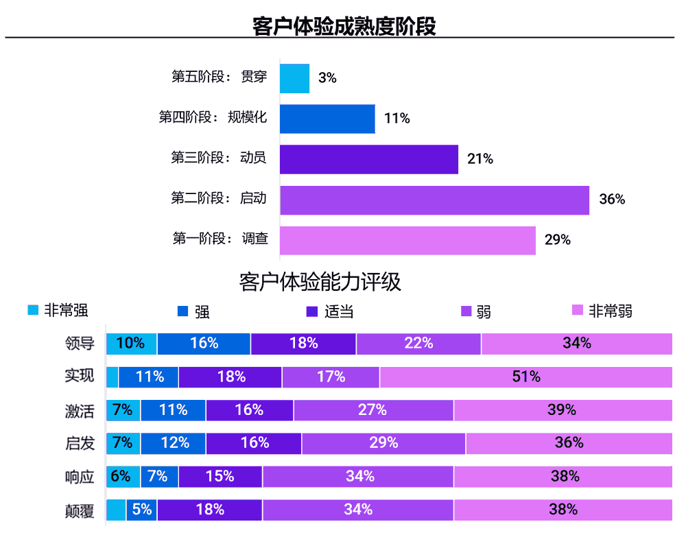 客户体验成熟度结果