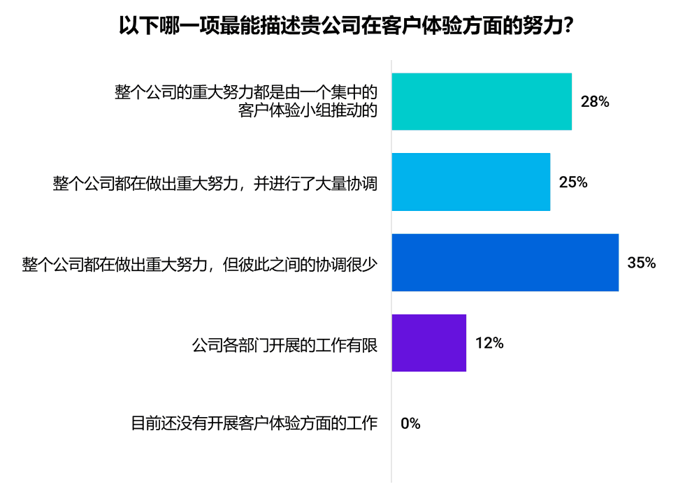 公司在客户体验方面的努力程度