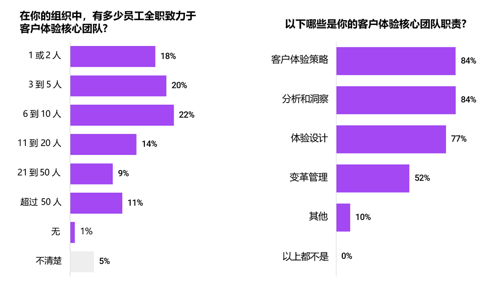 客户体验团队规模和职