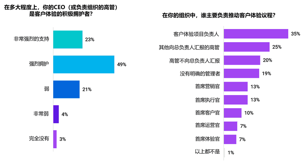 客户体验主管角色