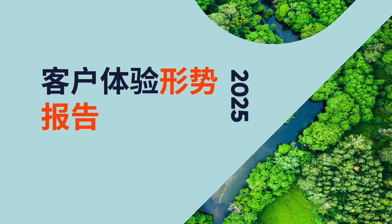 2025客户体验形势报告