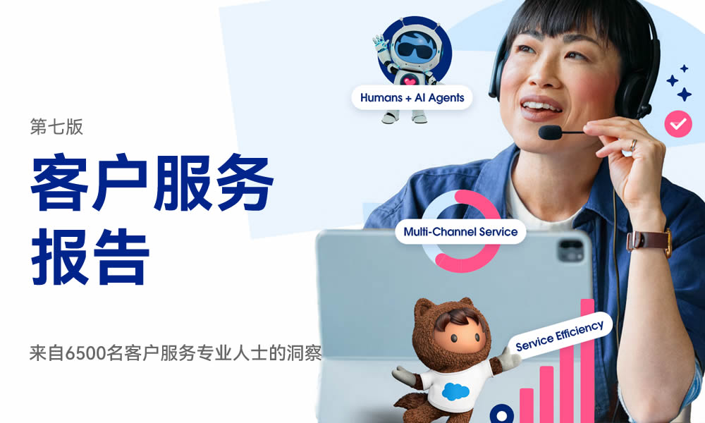 2025客户服务报告